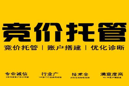 百度竞价代运营案例：电商行业逆袭